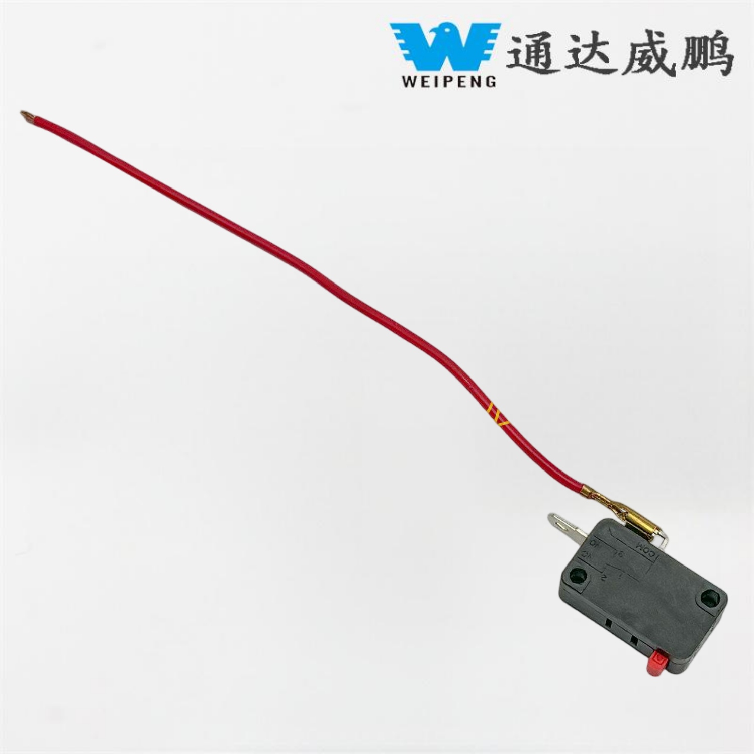 Myjnia samochodowa z przewodowym mikroprzełącznikiem